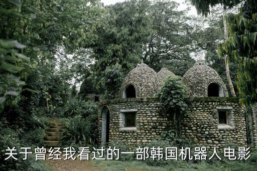 關(guān)于曾經(jīng)我看過(guò)的一部韓國(guó)機(jī)器人電影
