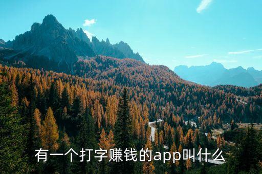 有一個打字賺錢的app叫什么