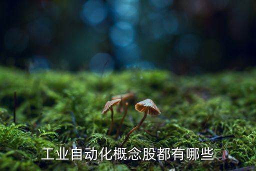 工業(yè)自動化概念股都有哪些