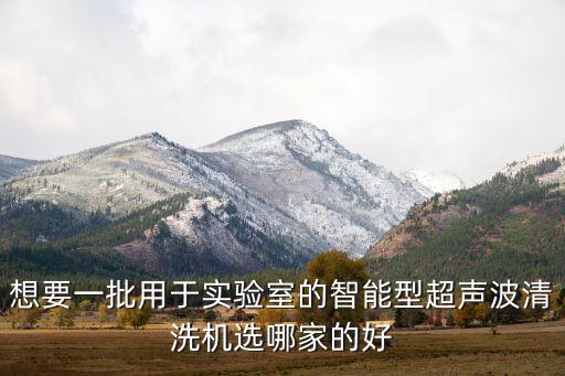 想要一批用于實(shí)驗(yàn)室的智能型超聲波清洗機(jī)選哪家的好