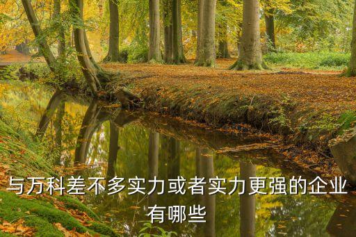 與萬科差不多實力或者實力更強的企業(yè)有哪些