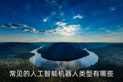 常見(jiàn)的人工智能機(jī)器人類型有哪些