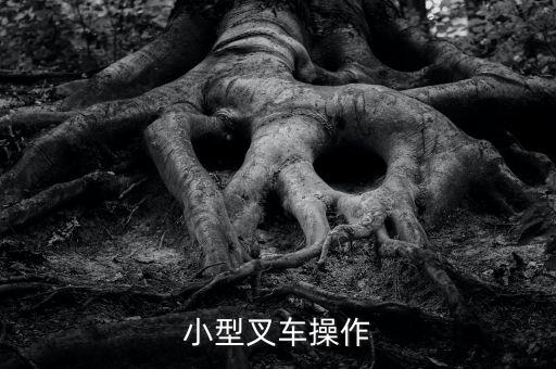 小型叉車操作