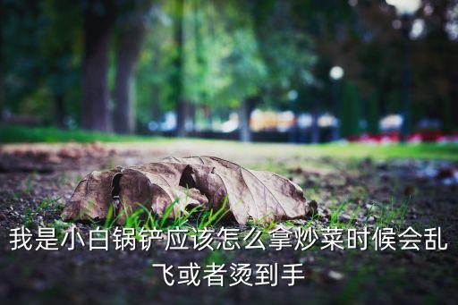 我是小白鍋鏟應(yīng)該怎么拿炒菜時(shí)候會亂飛或者燙到手