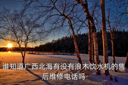 誰知道廣西北海有沒有浪木飲水機(jī)的售后維修電話嗎