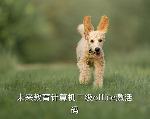 未來(lái)教育萬(wàn)能激活碼，未來(lái)教育計(jì)算機(jī)二級(jí)office激活碼