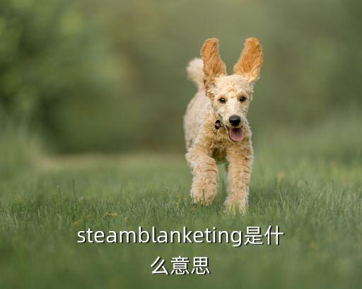 steam蛋仔排隊，steamblanketing是什么意思
