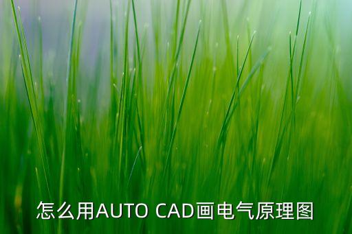 CAD畫電氣原理圖，怎么用AUTO CAD畫電氣原理圖