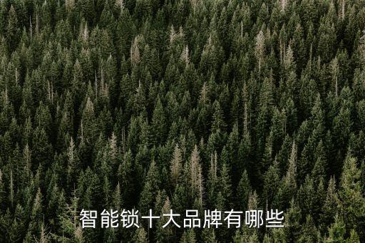 科技智能鎖，智能鎖十大品牌有哪些