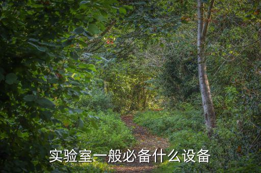 實驗室一般必備什么設(shè)備