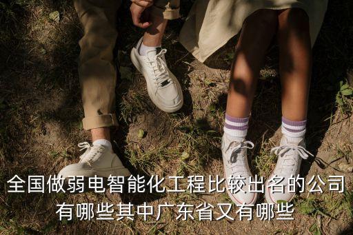 全國做弱電智能化工程比較出名的公司有哪些其中廣東省又有哪些