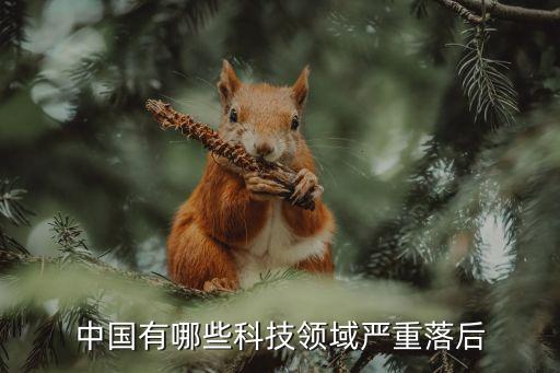 中國有哪些科技領(lǐng)域嚴重落后