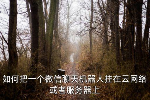 如何把機器人掛上云端，如何把一個微信聊天機器人掛在云網(wǎng)絡或者服務器上