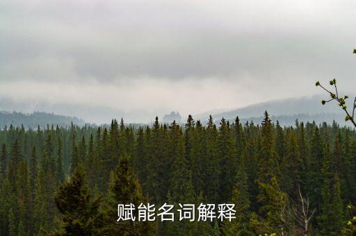 賦能名詞解釋
