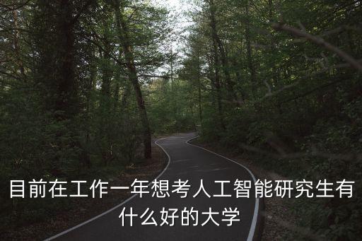 AI研究生，目前在工作一年想考人工智能研究生有什么好的大學