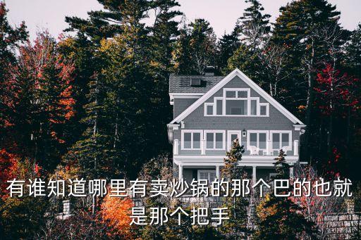 有誰(shuí)知道哪里有賣炒鍋的那個(gè)巴的也就是那個(gè)把手