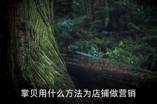 掌貝用什么方法為店鋪?zhàn)鰻I(yíng)銷