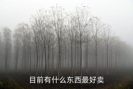 目前有什么東西最好賣