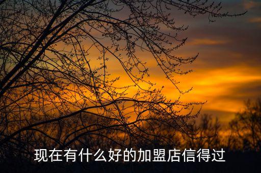 現(xiàn)在有什么好的加盟店信得過(guò)