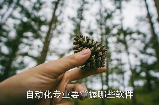 自動(dòng)化專業(yè)要掌握哪些軟件