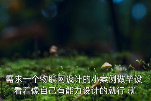 需求一個(gè)物聯(lián)網(wǎng)設(shè)計(jì)的小案例做畢設(shè) 看著像自己有能力設(shè)計(jì)的就行 就
