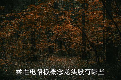 柔性電路板概念龍頭股有哪些