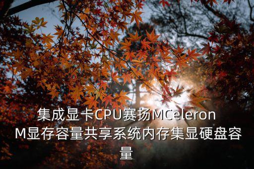 集成顯卡CPU賽揚MCeleron M顯存容量共享系統(tǒng)內(nèi)存集顯硬盤容量