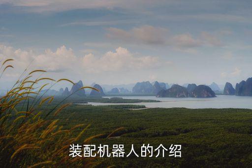 裝配機(jī)器人的介紹