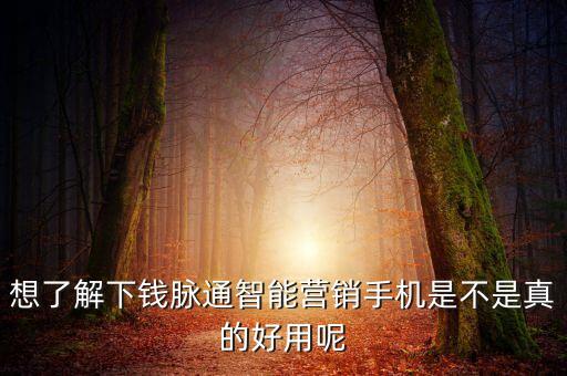 智能營銷手機有用嗎，網(wǎng)上現(xiàn)在好多賣營銷手機的好用嗎