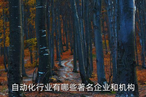 自動(dòng)化廠家有哪些公司，自動(dòng)化行業(yè)有哪些著名企業(yè)和機(jī)構(gòu)