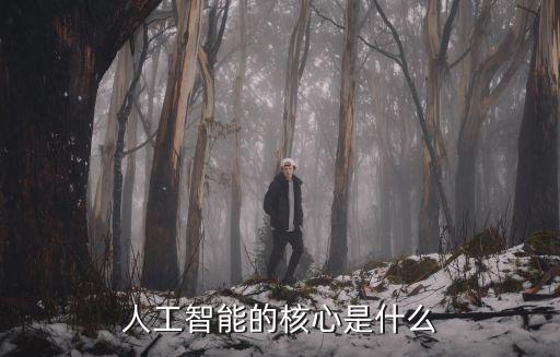 人工智能的核心是什么