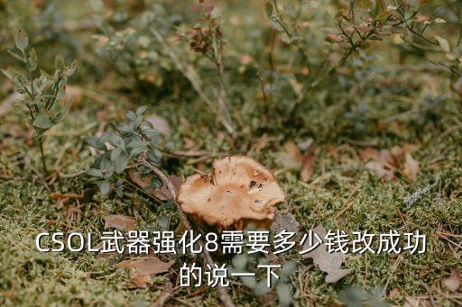 CSOL武器強(qiáng)化8需要多少錢改成功的說(shuō)一下