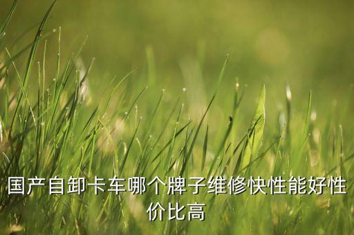 國(guó)產(chǎn)自卸卡車哪個(gè)牌子維修快性能好性價(jià)比高
