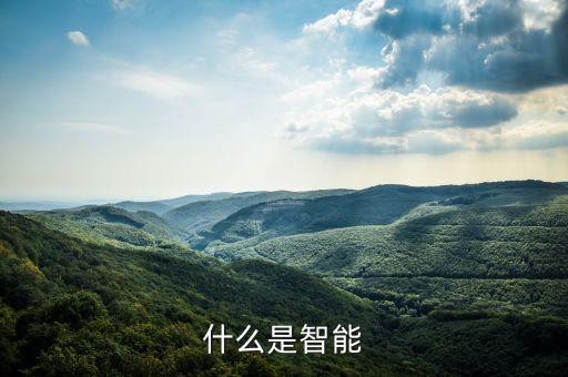 什么是智能