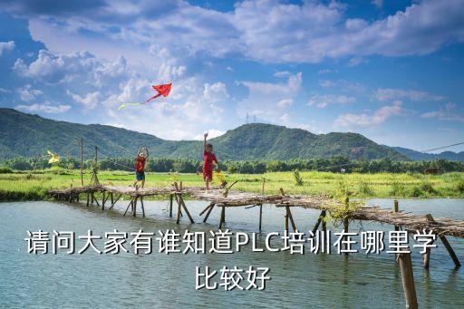 請(qǐng)問大家有誰知道PLC培訓(xùn)在哪里學(xué)比較好