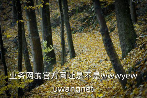 小鹿業(yè)務(wù)網(wǎng)，業(yè)務(wù)網(wǎng)的官方網(wǎng)址是不是wwwyewuwangnet