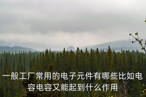 一般工廠常用的電子元件有哪些比如電容電容又能起到什么作用