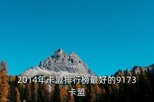 2014年卡盟排行榜最好的9173卡盟