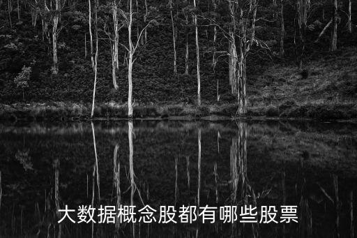 大數(shù)據(jù)股票有哪些股票好，大數(shù)據(jù)概念股票龍頭股票有哪些