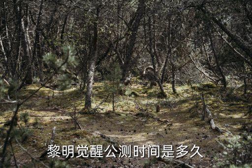 黎明覺(jué)醒公測(cè)時(shí)間是多久