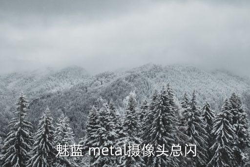  魅藍 metal攝像頭總閃