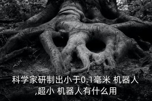 全世界的迷你機(jī)器人,樂(lè)高積木迷你機(jī)器人