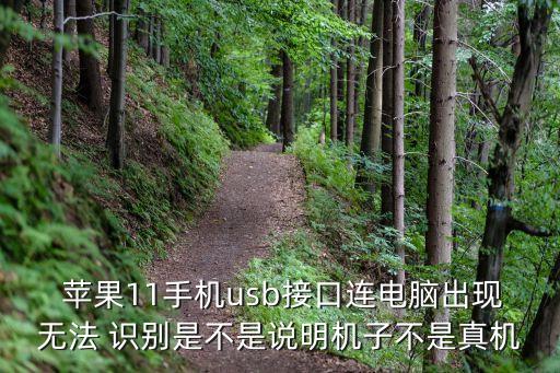  蘋果11手機usb接口連電腦出現(xiàn)無法 識別是不是說明機子不是真機