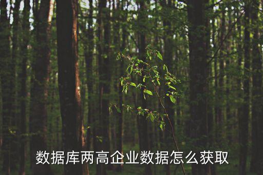  數(shù)據(jù)庫兩高企業(yè)數(shù)據(jù)怎么獲取