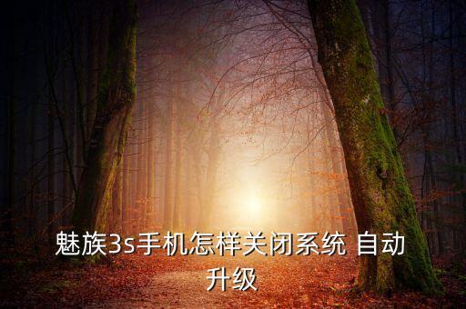  魅族3s手機(jī)怎樣關(guān)閉系統(tǒng) 自動 升級