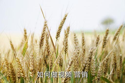 如何做視頻 營銷