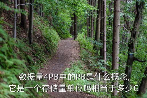  數據量4PB中的PB是什么概念,它是一個存儲量單位嗎相當于多少G