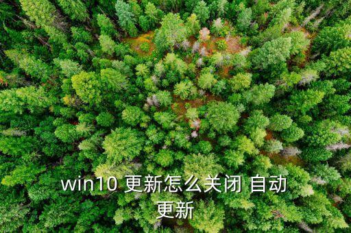 關(guān)掉win10自動(dòng)更新,設(shè)置自動(dòng)更新顯卡驅(qū)動(dòng)默認(rèn)為關(guān)閉