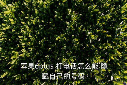 蘋(píng)果打電話自動(dòng)隱藏,蘋(píng)果手機(jī)設(shè)置列表中找到電話一欄