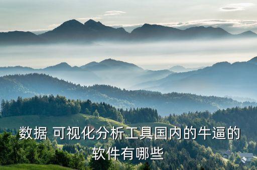 數(shù)據(jù) 可視化分析工具國(guó)內(nèi)的牛逼的軟件有哪些